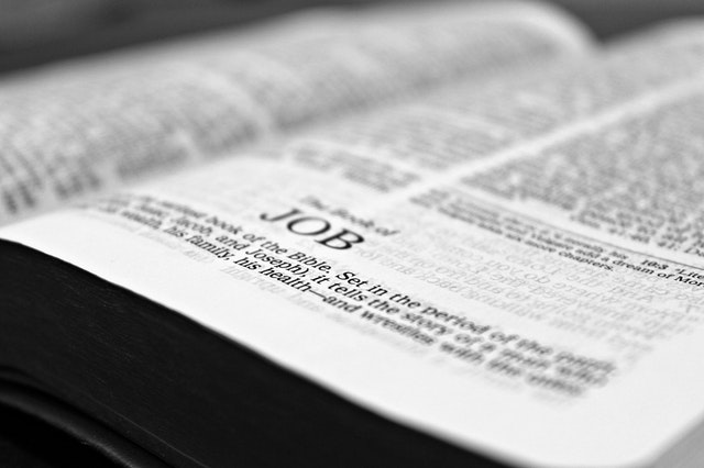 Bible open on chapter Job