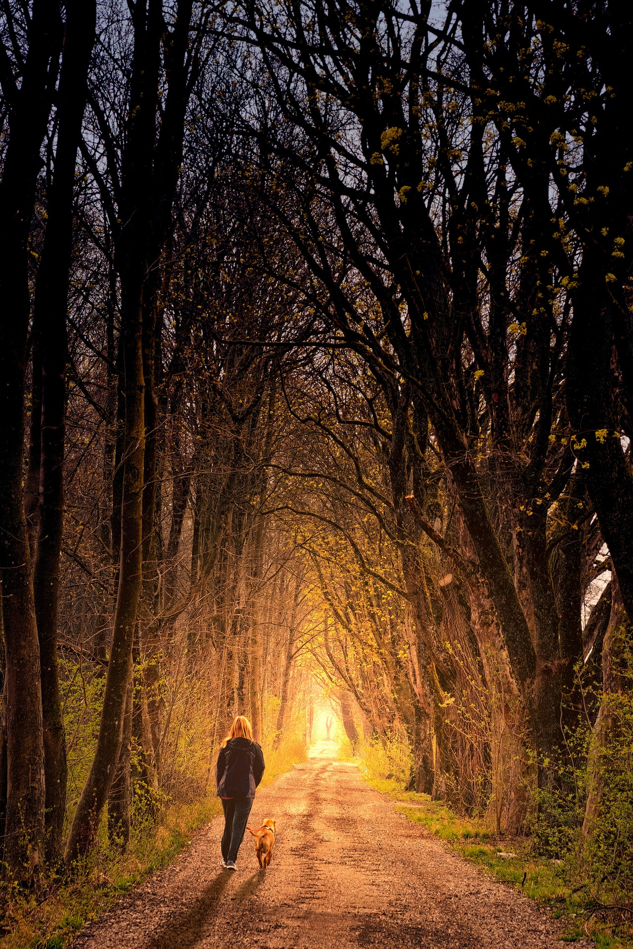 Photo of Person Walking On Dirt Road