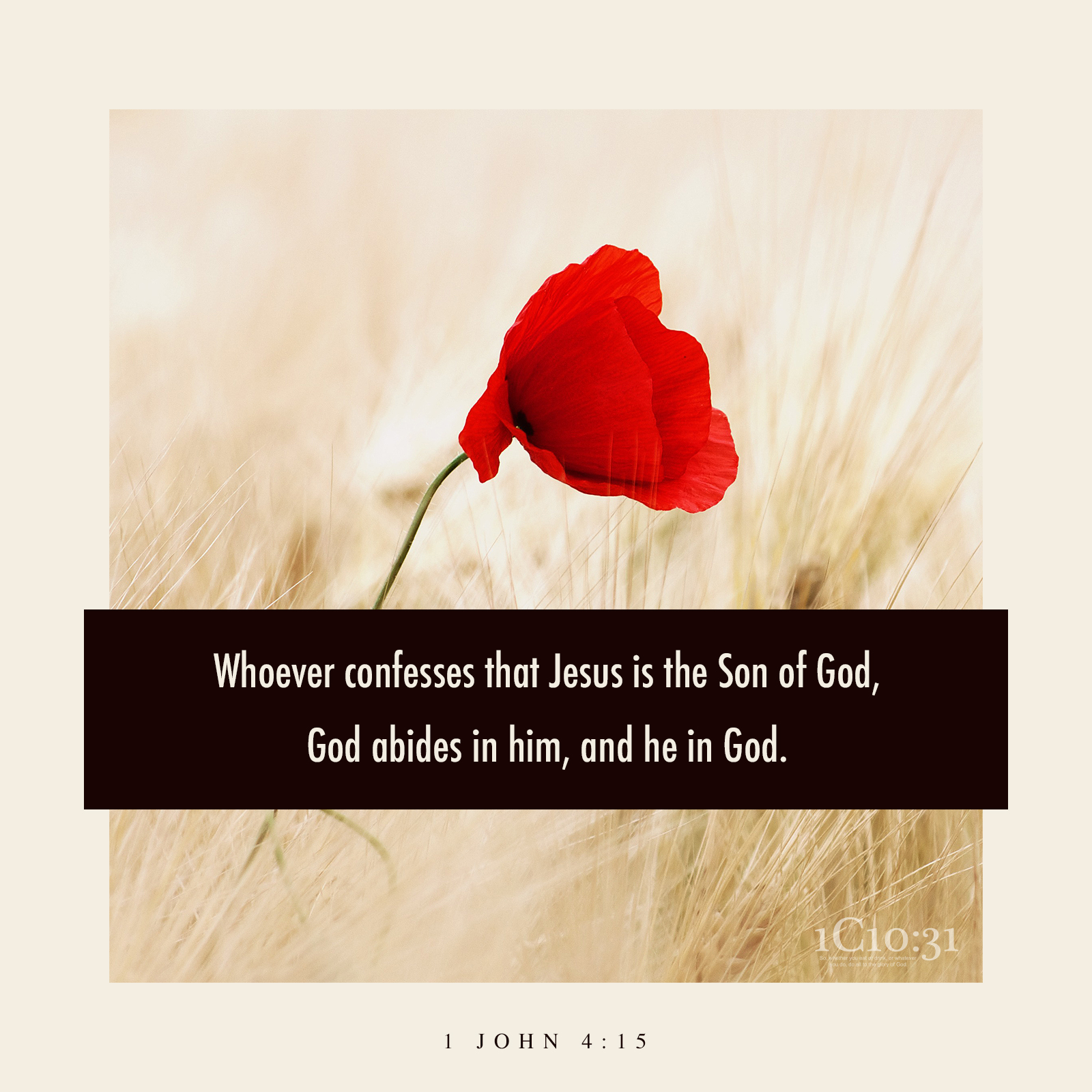 1 John 4:15 (NKJV) Whoever confesses that Jesus is the Son of God, God abides in him, and he in God.