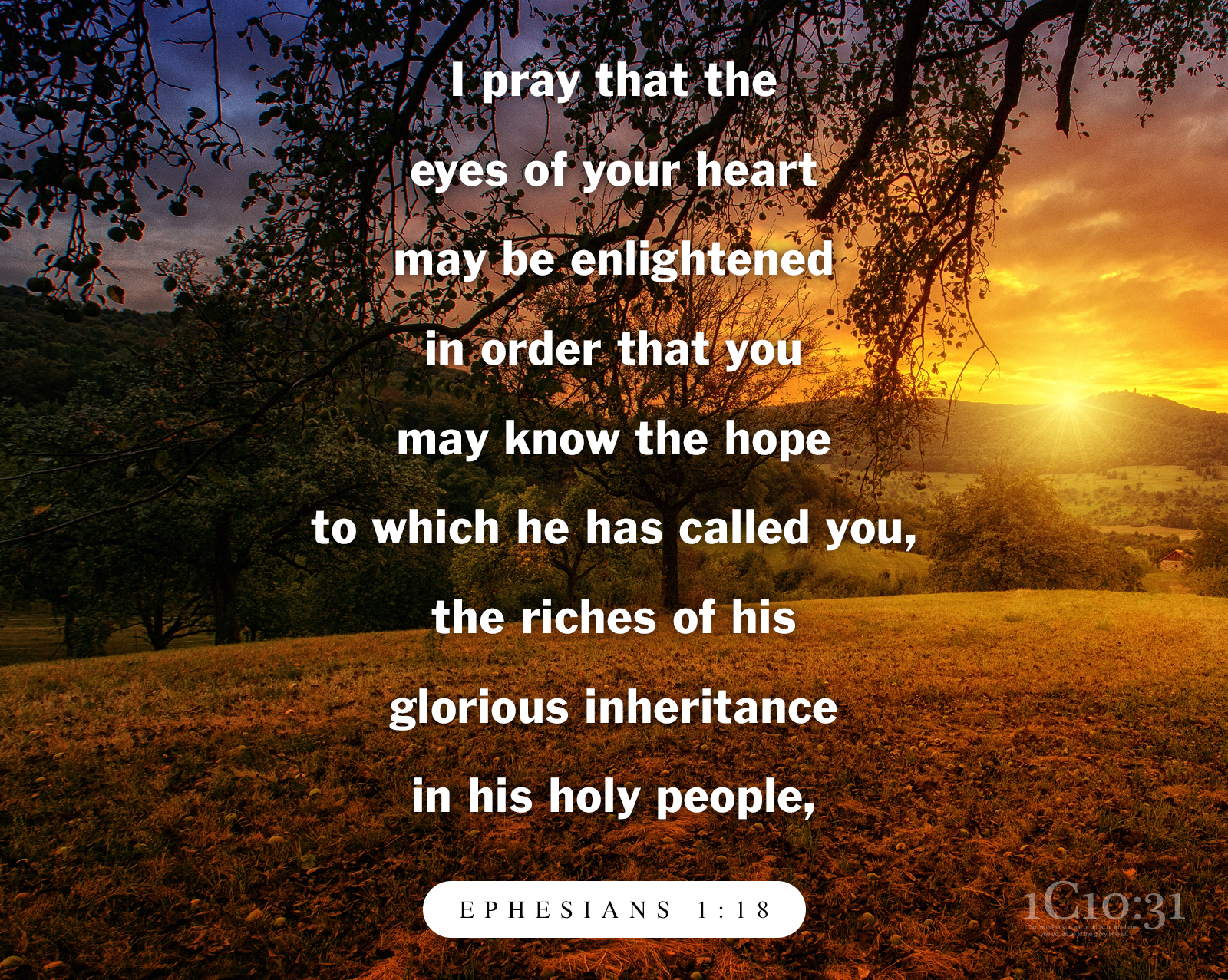 Ephesians 1:18 I pray that the eyes of your heart may be enlightened in order that you may know the hope to which he has called you, the riches of his glorious inheritance in his holy people,