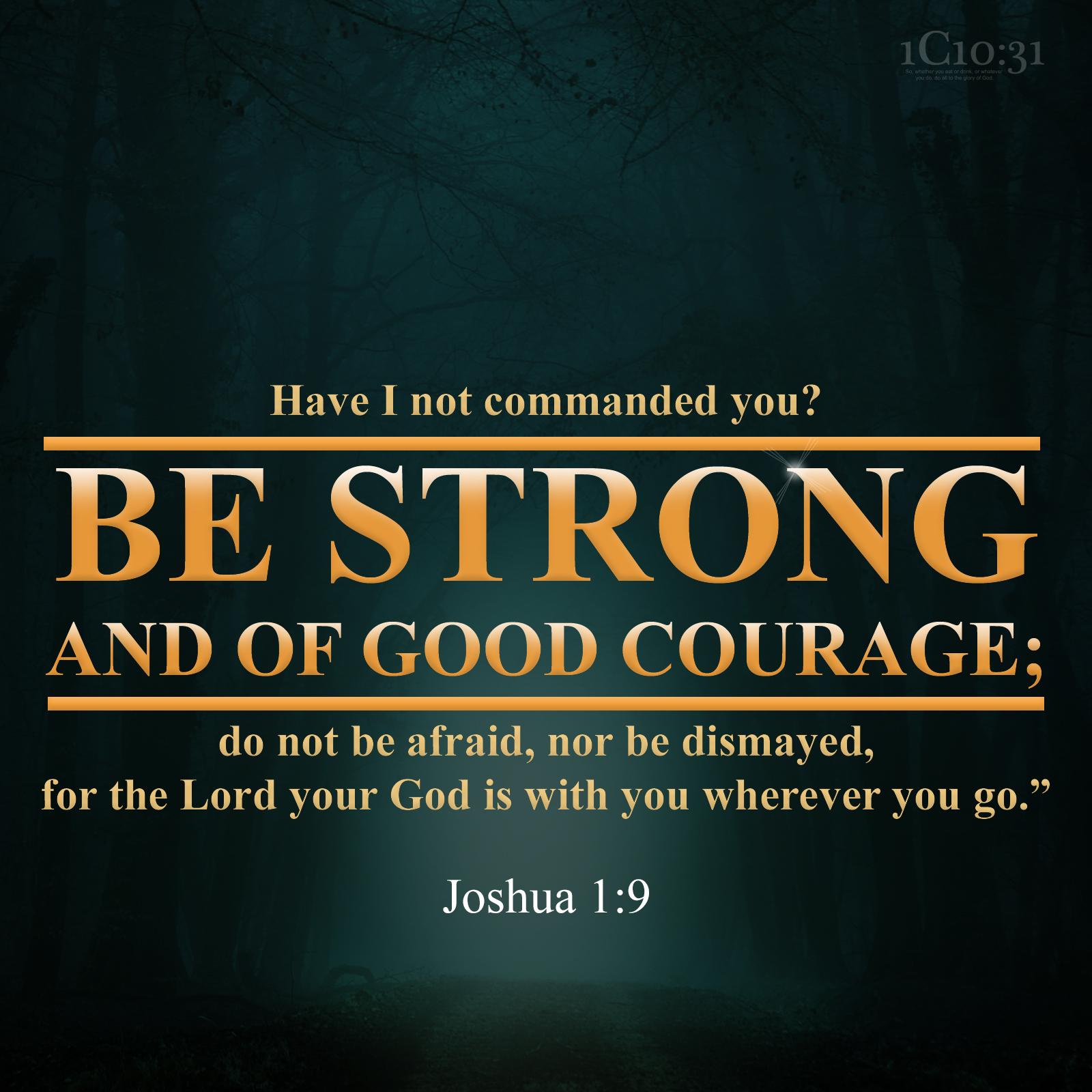 Joshua 1:9 Have I not commanded you? Be strong and of good courage; do not be afraid, nor be dismayed, for the Lord your God is with you wherever you go.”
