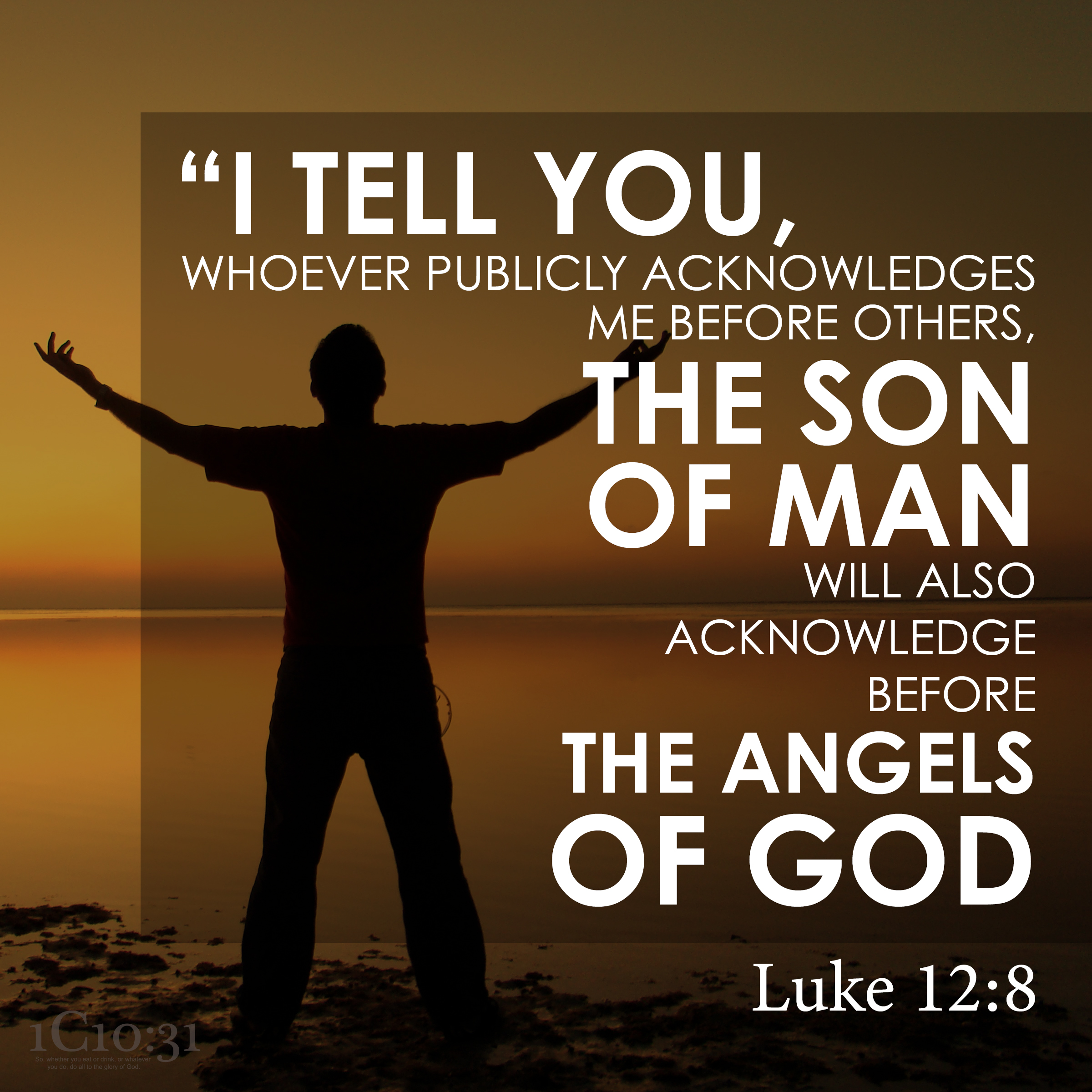 Luke 12 8 1C1031 co zw