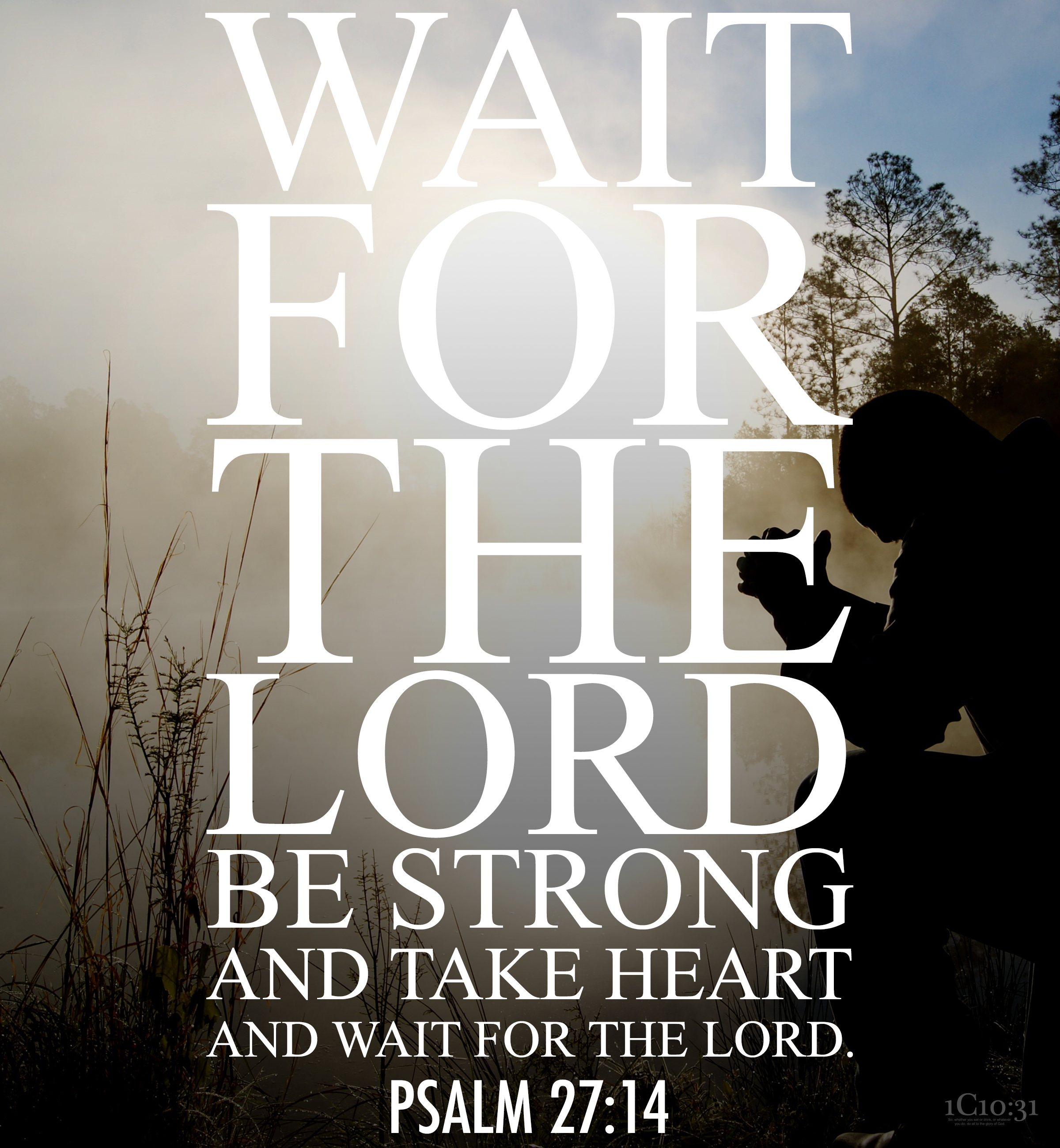 Psalm 27:14 Wait for the Lord; be strong and take heart and wait for the Lord.