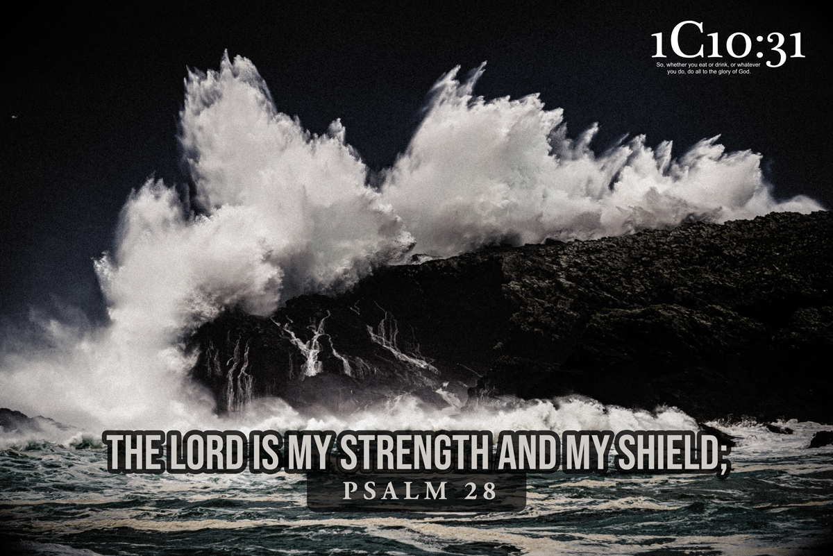 The Lord is my strength and my shield;