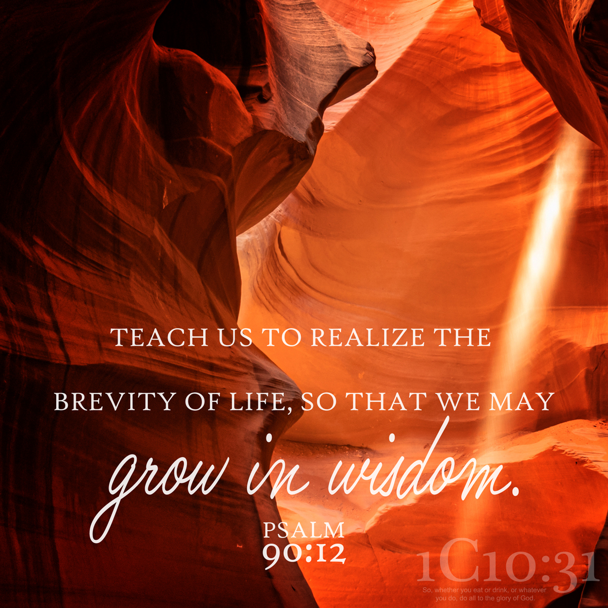 Grow In Wisdom